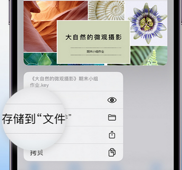 德江apple维修中心分享iPhone文件应用中存储和找到下载文件