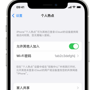 德江apple服务站点分享iPhone上个人热点丢失了怎么办 