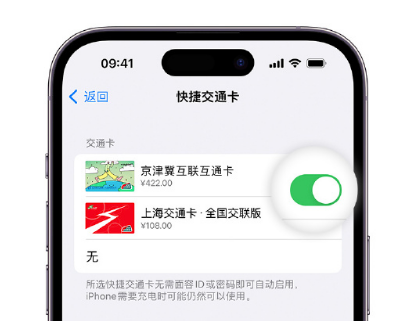 德江apple维修点分享iPhone上更换Apple Pay快捷交通卡手绘卡面 