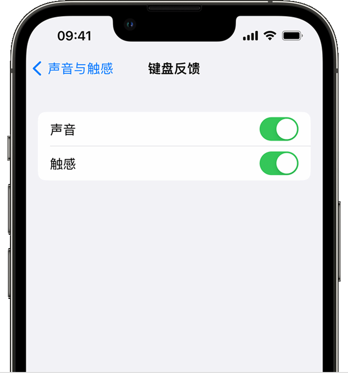 德江苹果14维修店分享如何在 iPhone 14 机型中使用触感键盘 