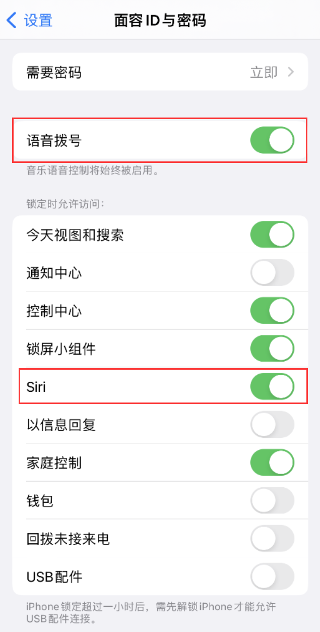 德江苹果维修网点分享不解锁 iPhone 的情况下通过 Siri 拨打电话的方法 