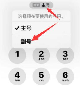 德江苹果14维修店分享iPhone 14 Pro Max使用副卡打电话的方法 