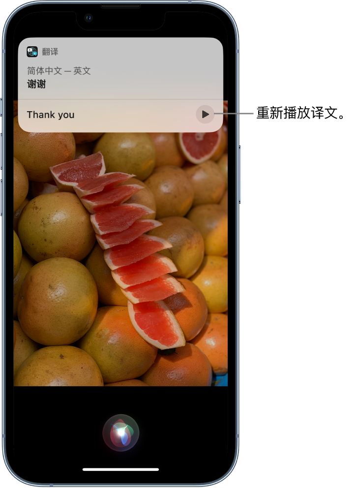 德江苹果14维修分享 iPhone 14 机型中使用 Siri：了解 Siri 能帮你做什么 