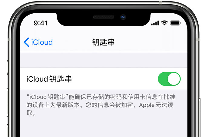 德江苹果手机维修分享在 iPhone 上开启 iCloud 钥匙串之后会储存哪些信息 