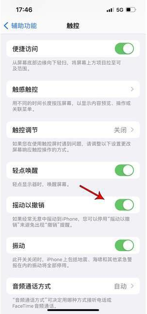 德江苹果手机维修分享iPhone手机如何设置摇一摇删除文字 